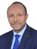 Dr. Eng. Habtamu Itefa